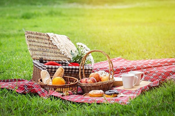 Bjud på picknick