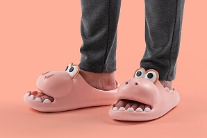 Dino slippers